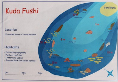 Kuda Fushi